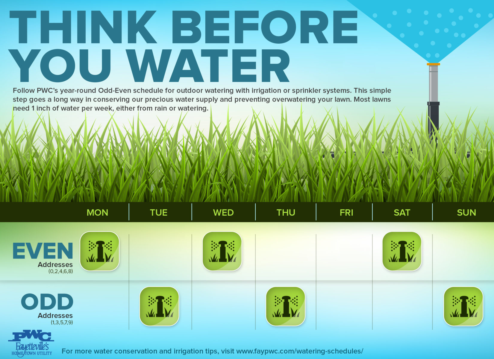 Watering Schedule Infographic