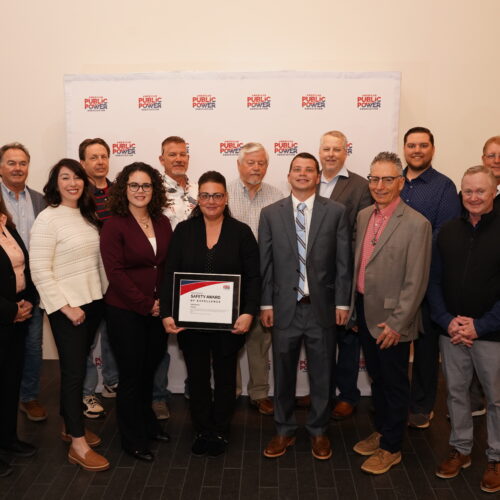 Group of PWC employees are posed with American Public Power Association Safety Award of Excellence.